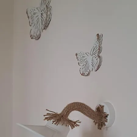 Hara 4* Patitíri